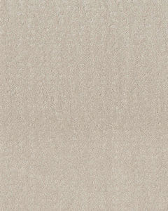 Trendy Nylon 34oz Carpet