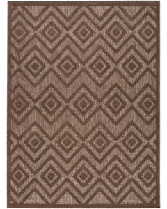 Versatile NRV01 Brown Area Rug