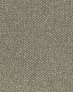 Welcome Tradition SmartStrand 49oz Carpet