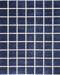 West End Ave WTE01 Navy Ivory Area Rug