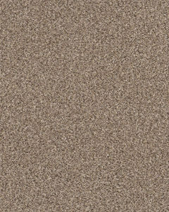 Confidence I Textured Pet Friendly 43oz Carpet