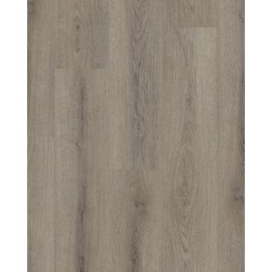 Paladin Plus Ashen Brown Luxury Vinyl