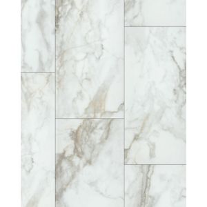 Paragon Tile Plus Calacatta 12