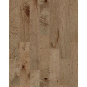 Mendocino Gold Dust Maple 6