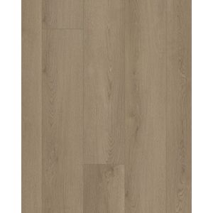 Starting Line Driftwood Taupe 7
