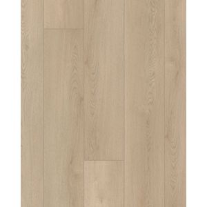 Starting Line Sunlit Beige 7