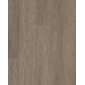 Homebound Woodland Mist 7