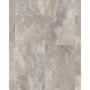 Apex Fossil 12