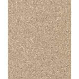 Quality Life Textured SmartStrand 55oz Carpet