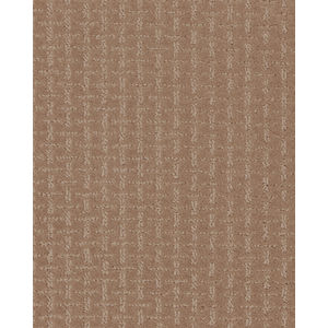 Quality Surface SmartStrand 40oz Carpet
