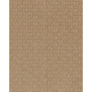 Quality Space SmartStrand 40oz Carpet