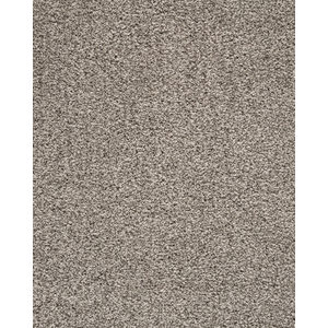 Luxuriant Surface Textured SmartStrand 55oz Carpet