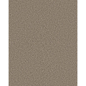 Artistic Fusion I Pet Friendly 43oz Carpet