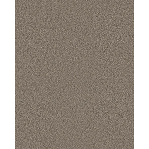 Artistic Fusion II Pet Friendly Carpet