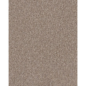 Refined Chic Glacier Textured Carpet