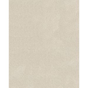 Pawsitive S Pet Friendly Textured 40oz Carpet