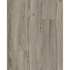 Refined Forest Platinum 9