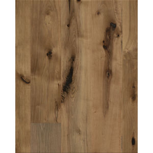 Transcendence Absolute 7