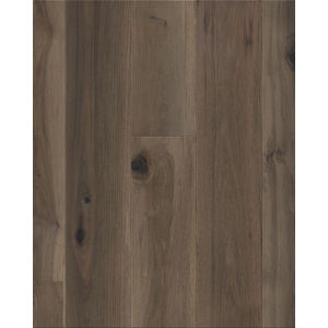 Transcendence Elevation 7