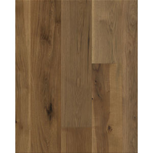 Transcendence Ascent 7