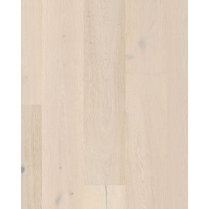 Grand Estate Ashton Court 10