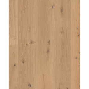 Grand Estate Thorndon Hall 10