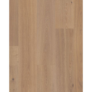 Grand Estate Somerton Castle 10