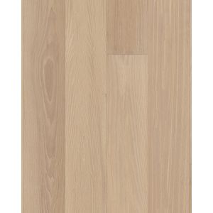 European Ash Carnival 7