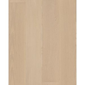 European Ash Plaza 7