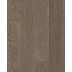 European Ash Riviera 7