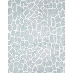 Akina AK4 Flannel Area Rug