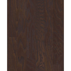 Albright Red Oak 3.25