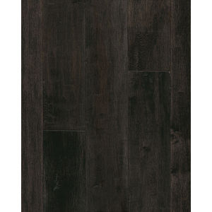 American Scrape Maple 5