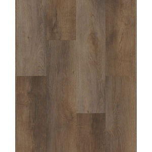 Anvil Plus 20 Mil Highlight Oak Luxury Vinyl