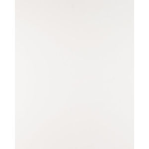 Arctic White Quartz Countertop