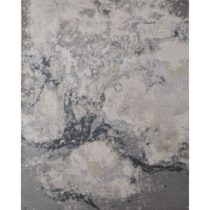 Astra 39L3F Gray/Ivory Area Rug