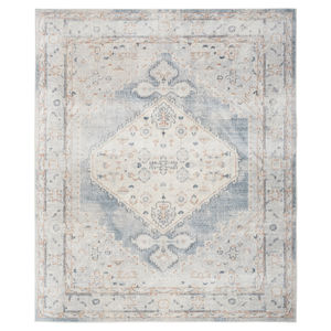 Astra Machine Washable ASW11 Light Blue Rug