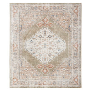 Astra Machine Washable ASW11 Sage Multi Rug