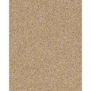 Bali Nylon Textured 48oz Carpet