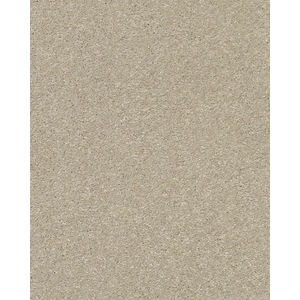 Basic Rules 58oz Textured Pet Friendly Carpet