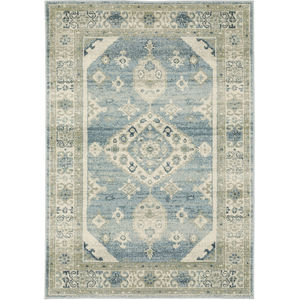 Branson br03a Blue/Beige Area Rug