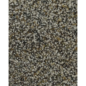 Bright Charisma SmartStrand Textured Carpet