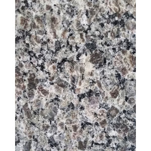 Caledonia Granite Countertop
