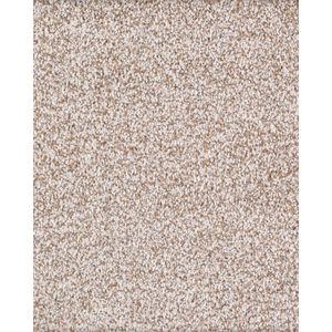 Calm Retreat Kashmere Nylon Textured Carpet