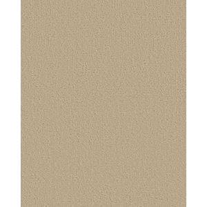 Canvas Comfort Textured Nylon 43oz Carpet