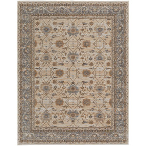 Celene 39KVF Tan/Ivory/Gray Area Rug