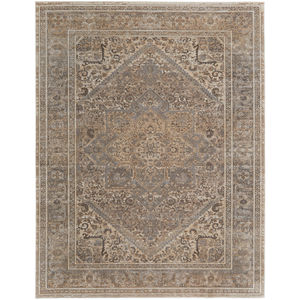 Celene 39KXF Tan/Brown/Ivory Rug