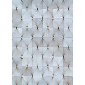 Chalet Diamondback Desert Moon Area Rug