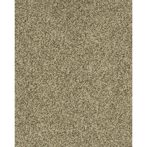 Cherished Tradition Kashmere Nylon Carpet
