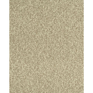 Cherished Tradition Bare Necessities Kashmere Carpet